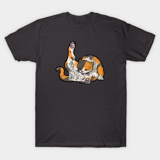 Cat Licking it's Butt T-Shirt